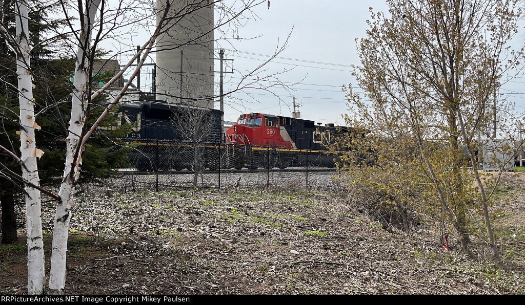 CN 2601